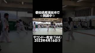 「テコンドー教室（TAA）」2023年4月16日③