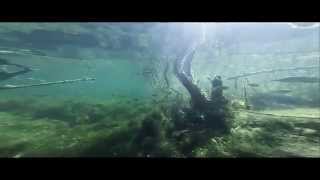 2015-10-24 freediving na kamionce Piast w Opolu