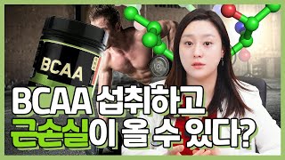 (ENG)근손실 없이 올바르게 BCAA를 섭취하는 방법! 필수 아미노산을 알아봅시다!