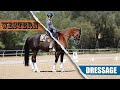 Western vs. Dressage - What's the Difference?