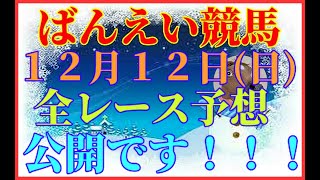 【ばんえい競馬】ばんえい競馬１２月１２日(日)全レース予想公開！！