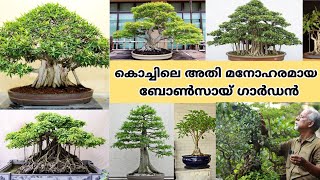 കൊച്ചിയിലെ ബോൺസായ് മരങ്ങളുടെ അത്ഭുത ശേഖരം || Bonsai Tree || Farm Stories