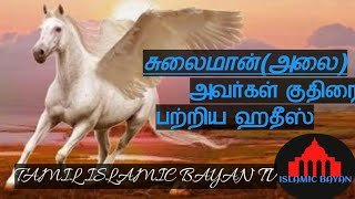 சுலைமான்(அலை)அவர்கள் குதிரை பற்றிய ஹதீஸ்|TAMIL ISLAMIC BAYAN TV|TAMIL BAYAN|தமிழில் பாயான்