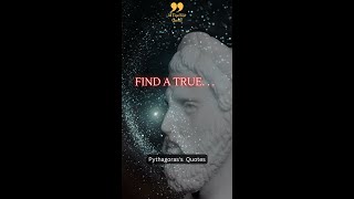 Find a True. . ., Best Pythagoras Quotes Shorts 5