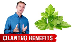 Cilantro किसके लिए अच्छा है?