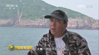 20170713 生财有道  生态中国系列（沿海行）——浙江舟山：海岛渔家赚钱忙