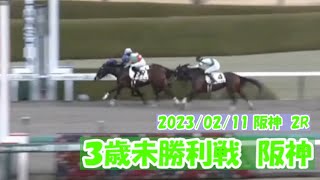 2023/02/11【パドック返し馬つき】阪神2R　３歳未勝利戦　　☆グランファラオ　American Pharoah　＃レースは11分ころから