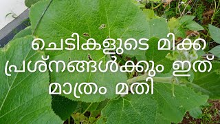 ചെടികളുടെ ആരോഗ്യത്തിനും കായ പിടുത്തം കൂട്ടാനും ഇത് കൊടുക്കു || @urbanroots9