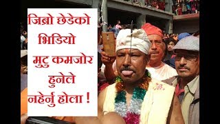 बुद्धकृष्ण श्रेष्ठले सातौं पटक छेडे जिब्रो  jibro chedne jatra thimi