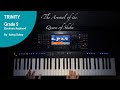 Trinity College London - Electronic Keyboard Grade 5 -  Arrival of the Queen of Sheba - 2019- 2022