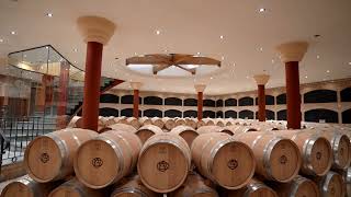 ALTANZA WINERY TOUR |  BODEGAS ALTANZA