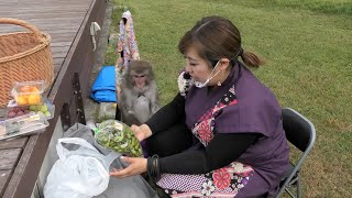 頬袋のブドウが気になるんですけど😄　四季　休憩中　二助企画