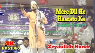 उर्दू नात शरीफ़- اردو نعت شریف !मेरे दिल के हसरतों का! Zeyaullah Hunar! Urdu Naat Sharif New