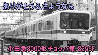 【チョッパ車、遂に廃車に】小田急8255F、37年間ありがとう、さようなら。 ;∀;