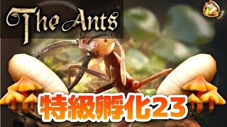 【ザ・アンツ】特級孵化を23回引く動画 【the ants】#Shorts