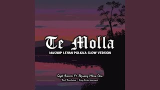 Download Lagu DJ Te Molla X Mashup Levan Polkka Remix Full Bass ... MP3 Gratis