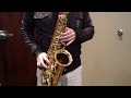 selmer paris super action 80 serie ii alto saxophone