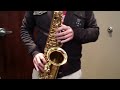 selmer paris super action 80 serie ii alto saxophone