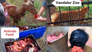 Vandalur Zoo Animals | வண்டலூர் உயிரியல் பூங்கா #zoo #animals #wildlife #food #feeding