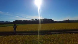 【４K空撮】生産者がマルチコプター（ドローン）で生育状況を確認。北海道「市川農場」