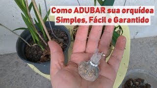 Dicas Dona Maria - Como ADUBAR suas orquídeas - Simples, Fácil e Garantido