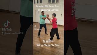 詠春黐手 Wing Chun Chi Sau #功夫 #kungfu #martialarts #詠春拳 #wingchun #ipman #ipchun #葉問 #葉準 #chisau #黐手