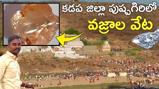 వజ్రాల కోసం జనాలు కుప్పలుగా వస్తున్నారు | Pushpagiri Diamonds Hunting