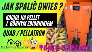 Jak spalić owies?🔥 Poradnik🌟W kotle na PELLET QUAD / PELLLATRON z Palnikiem KIPI 🔥 -No Limits Energy