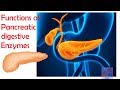 Pancreatic digestive enzymes & their functions-Medicine basics simplified