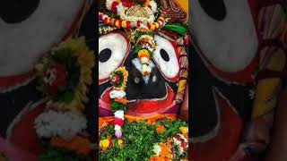 tuma tulasi chandan basuthau#short#video//status//video#jagannathbhajan