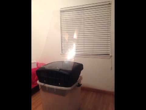 Halloween Virtual Hologram Youtube