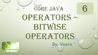 Core JAVA - Bitwise Operators