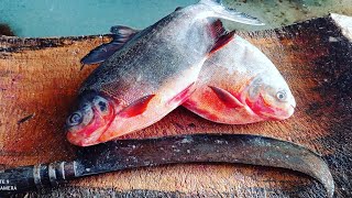 Red Pomfret  Boneless Cutting |fiscutting Techniq /cutting Skills.