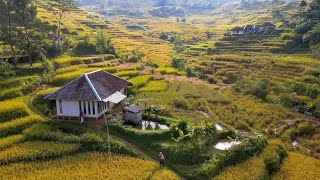 Begini Rasanya Tinggal Di Desa Dengan Pemandangan Alam Indah Udara Sejuk Suasana Pedesaan Jawa Barat