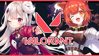 【 VALORANT 】ぷてちとコンペ