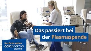 Das passiert bei der Plasmaspende