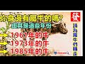 你身邊有屬牛的嗎？1961年，1973年，1985年的生肖牛，一生一世的命運！神准！ 星座生肖