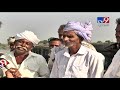 patan fear grips farmers after swarm of locusts teed seen in farms tv9gujaratinews