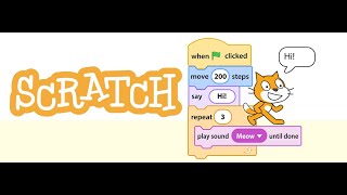 Scratch First Program