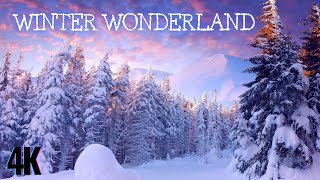Snow Winter Relaxation Film | Calming Music for Relaxation or Sleeping | 4K Snow Meditation