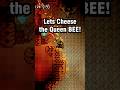 Terraria 1.4.4.9 How I CHEESED the QUEEN BEE on MASTER MODE
