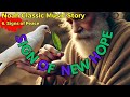 Noah #6 | Signs of Peace | Bible |  Classical music | Musical