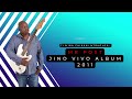 Mr Post - N'wa Chikani [Ntokoloxi] (Audio Visualizer)