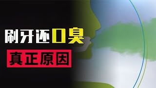 刷完牙为什么还会口臭？口臭到底怎么解决？【科普小姐姐】