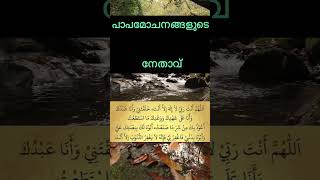 പാപമോചനങ്ങളുടെ നേതാവ് #trending #alameen #love #quotes #malayalam