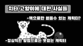 히든 울슈레 캐릭터인 치타 고양이 소개! [냥코대전쟁]