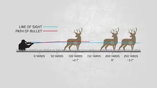 Ammo Basics: Understanding Trajectory
