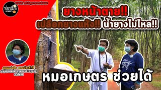 พ่อหมอเกษตร EP.55 ตอน กำจัดยางหน้าตาย น้ำยางไม่ไหล เปลือกยางแห้ง