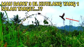 MIKAT BURUNG TERNYATA YANG ADA SALAH TARGET#pikatkutilang #mikatburung#kutilang