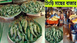 চিংড়ি মাছের দাম কত দেখুন আজকের বাজারে। Today Shrimp 🍤🍤 fish market price BD 8/2/2022